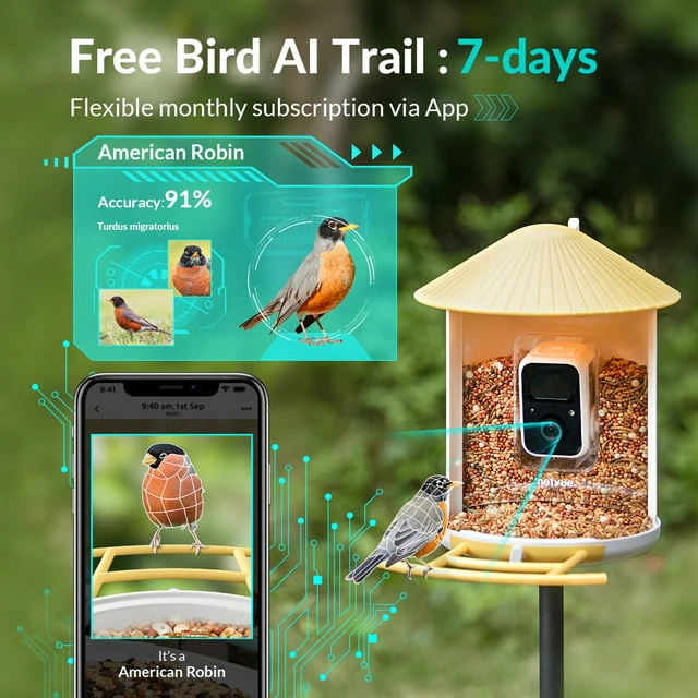 Bird Feeder Camera Outdoor Feeder Bird, Netvue Birdfy Bird Watching with Camera for Bird Lover - Image 2