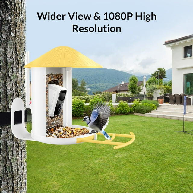 Bird Feeder Camera Outdoor Feeder Bird, Netvue Birdfy Bird Watching with Camera for Bird Lover - Image 3