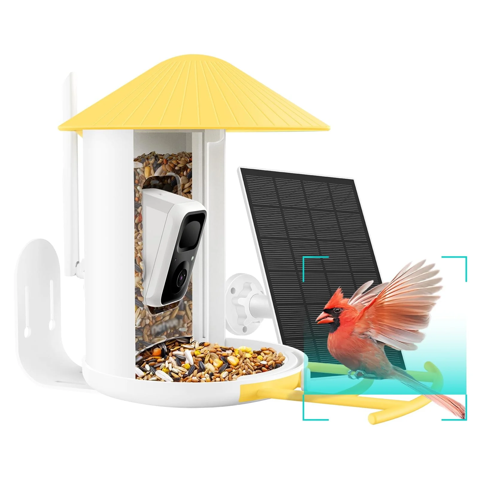 Bird Feeder with Camera(Birdfy AI+Solar)