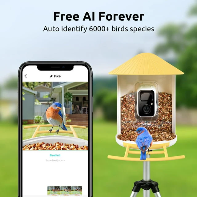Bird Feeder with Camera(Birdfy AI+Solar) - Image 2