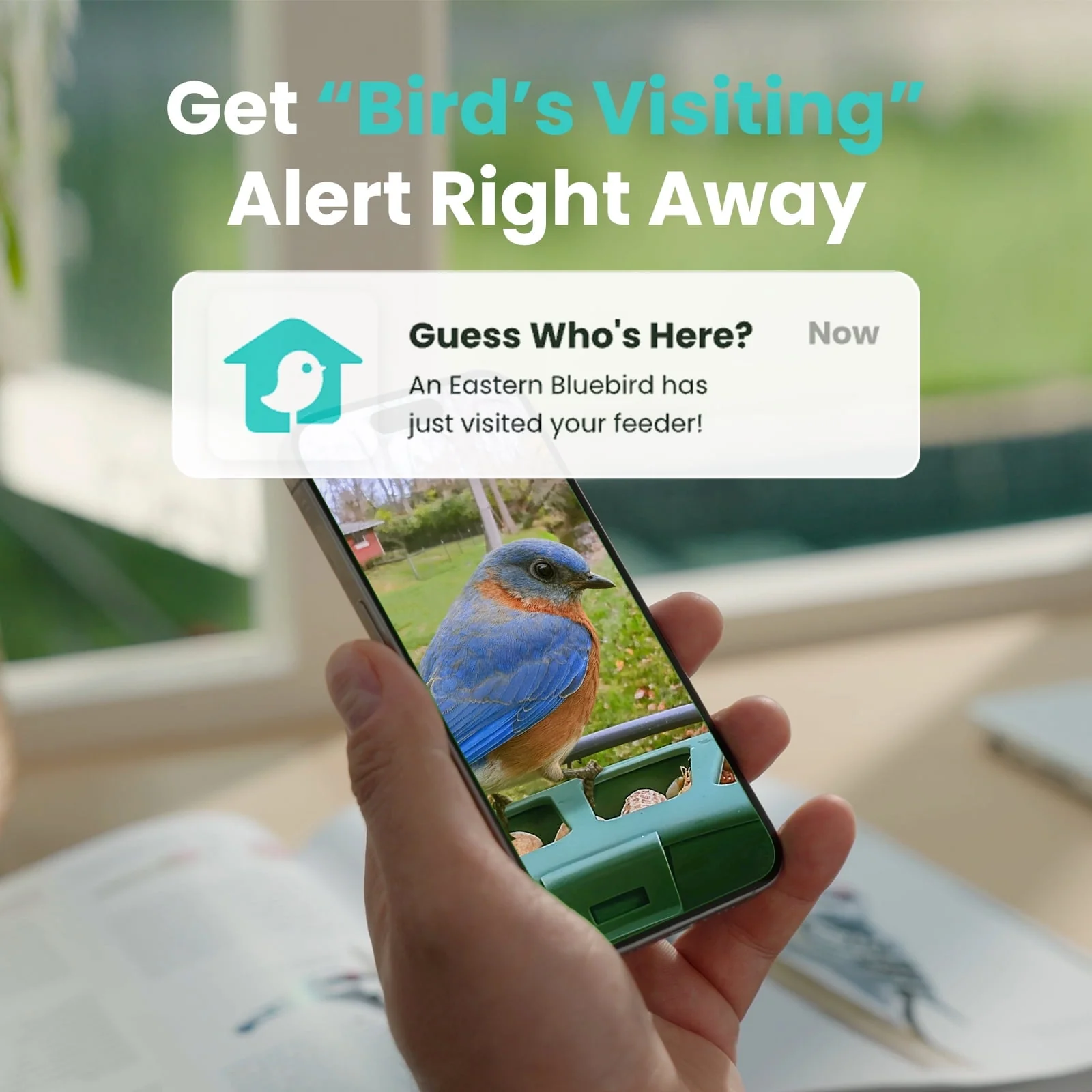Birdfy 2 Smart Bird Feeder with Camera, AI Identifies 6000+ Bird Species, Dual-Lens 2K+1080P Camera for Live Streaming & Close-Up Photos, Solar-Powered, Perfect Christmas Gift - Image 3