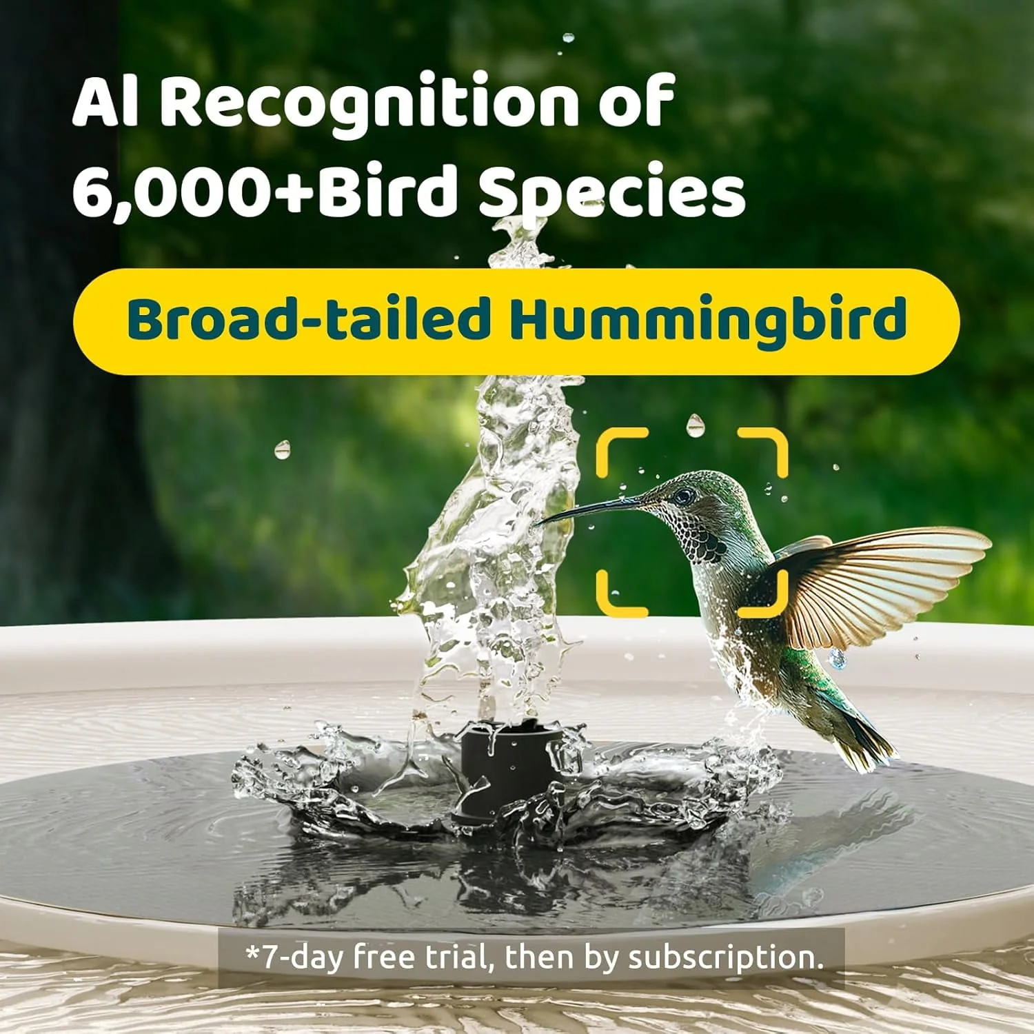 Birdfy Bird Bath and Solar Powered Round Pond Fountain with Smart Camera, 1080P HD Camera Auto Capture Bird Bath Videos, AI - Image 2