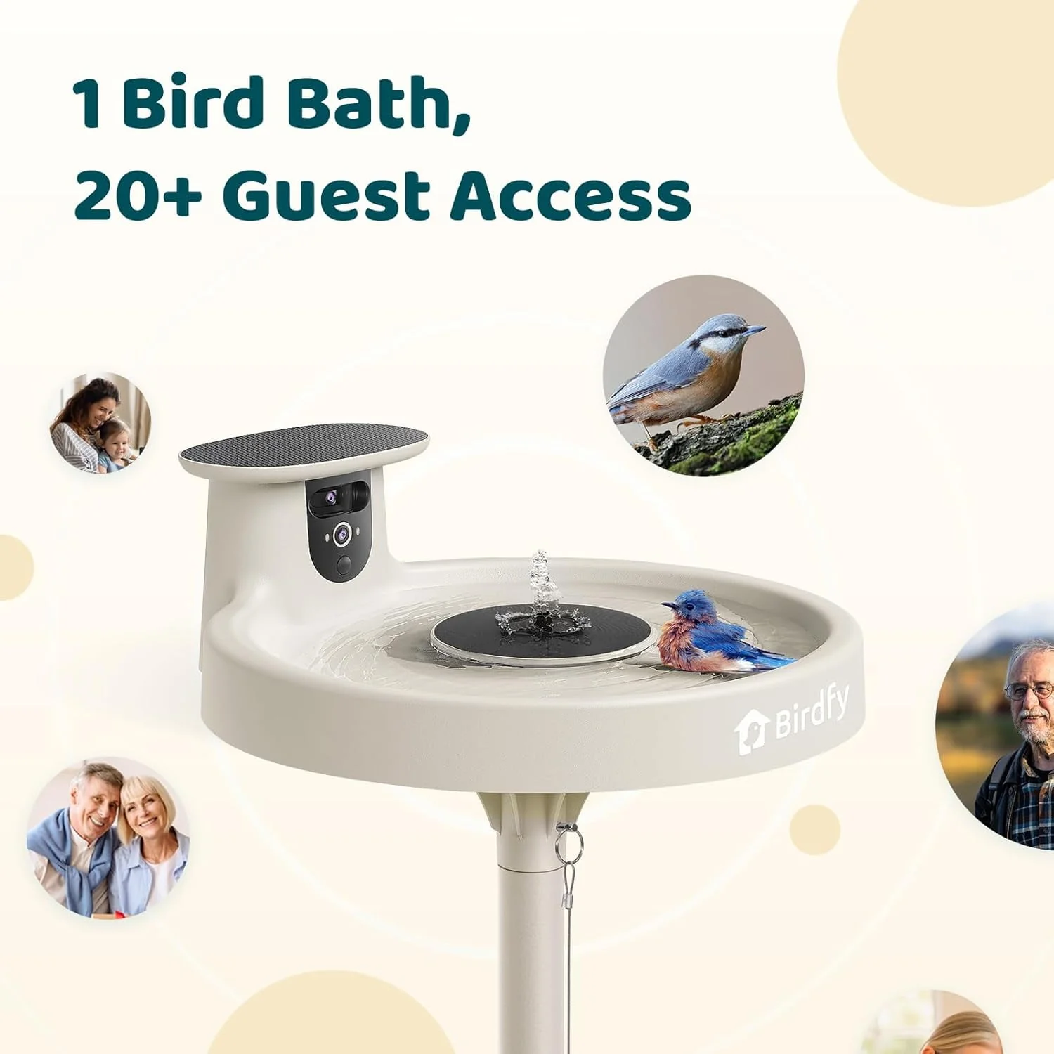 Birdfy Bird Bath and Solar Powered Round Pond Fountain with Smart Camera, 1080P HD Camera Auto Capture Bird Bath Videos, AI - Image 4