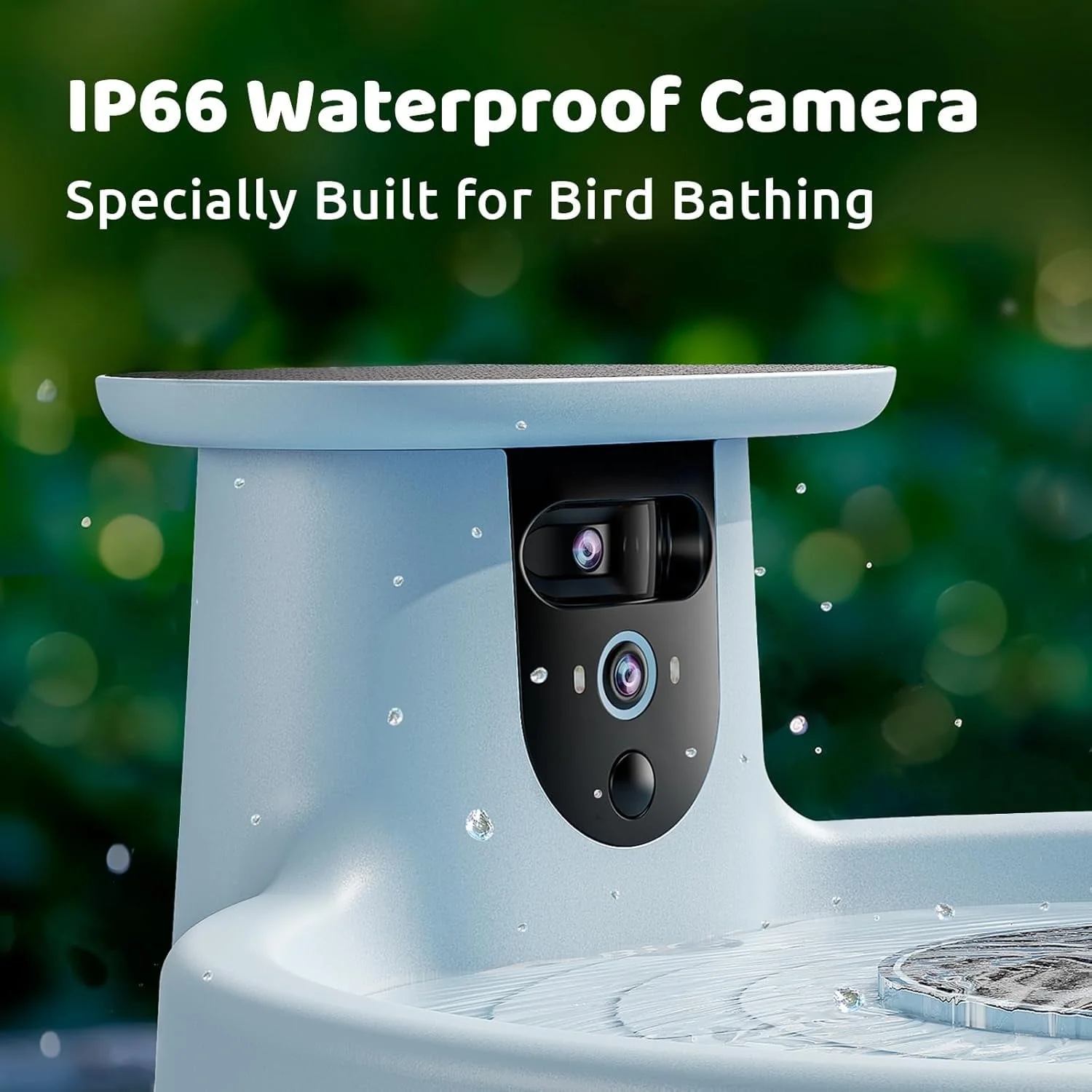 Birdfy Bird Bath with Camera, Lite - Image 5