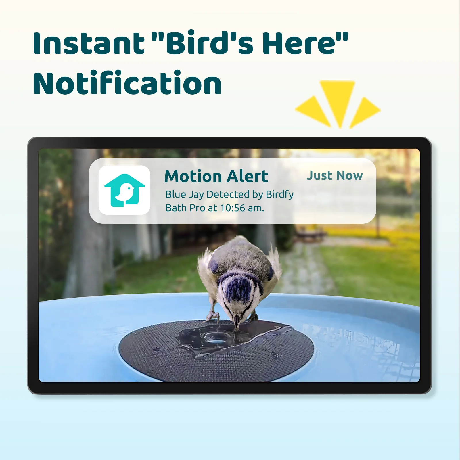 Bird bath with blue camera,AI+solar - Image 6