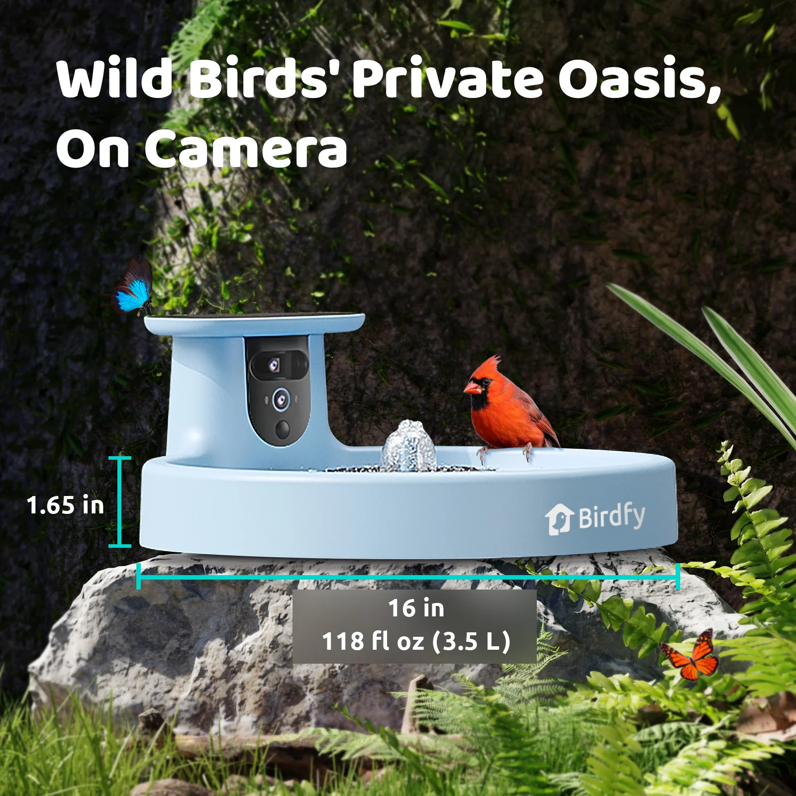 Bird bath with blue camera,AI+solar - Image 4