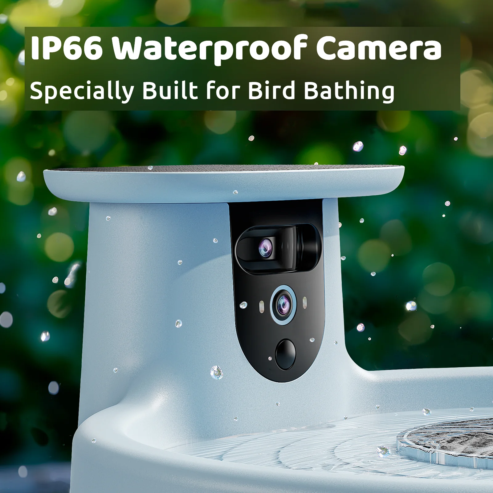 Bird bath with blue camera,AI+solar - Image 5