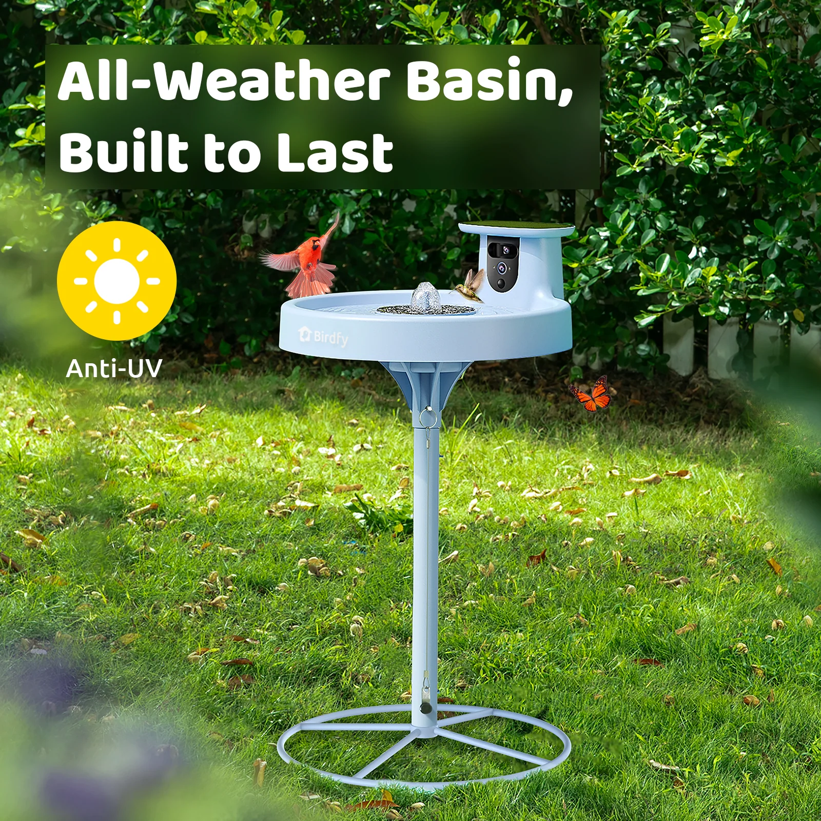 Bird bath with blue camera,AI+solar - Image 3