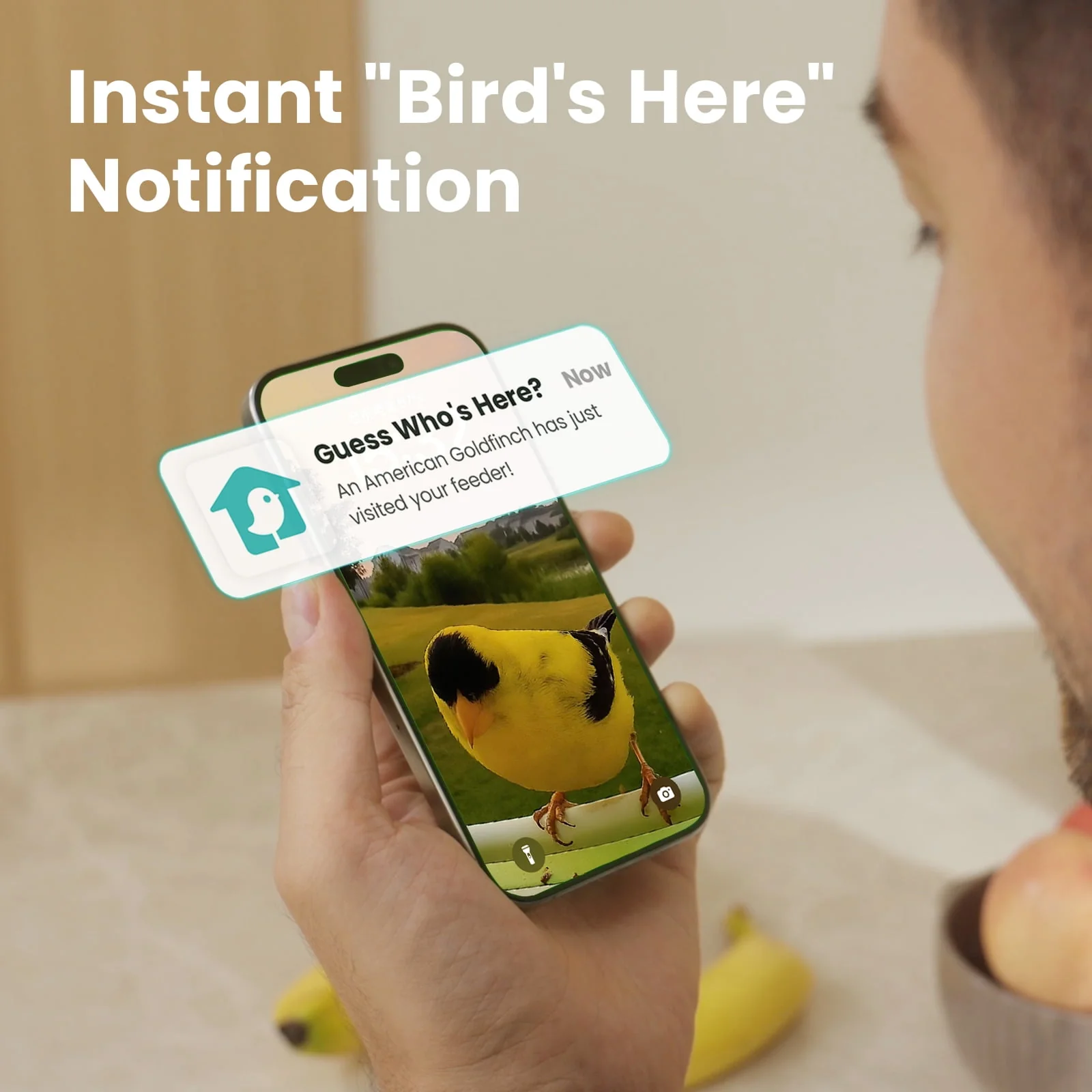 Birdfy Smart Bird Feeder with Camera, AI Identification for 6000+ Species, Automatic Bird Visit Recording & Notifications, Free App, Durable Metal Construction - Image 3