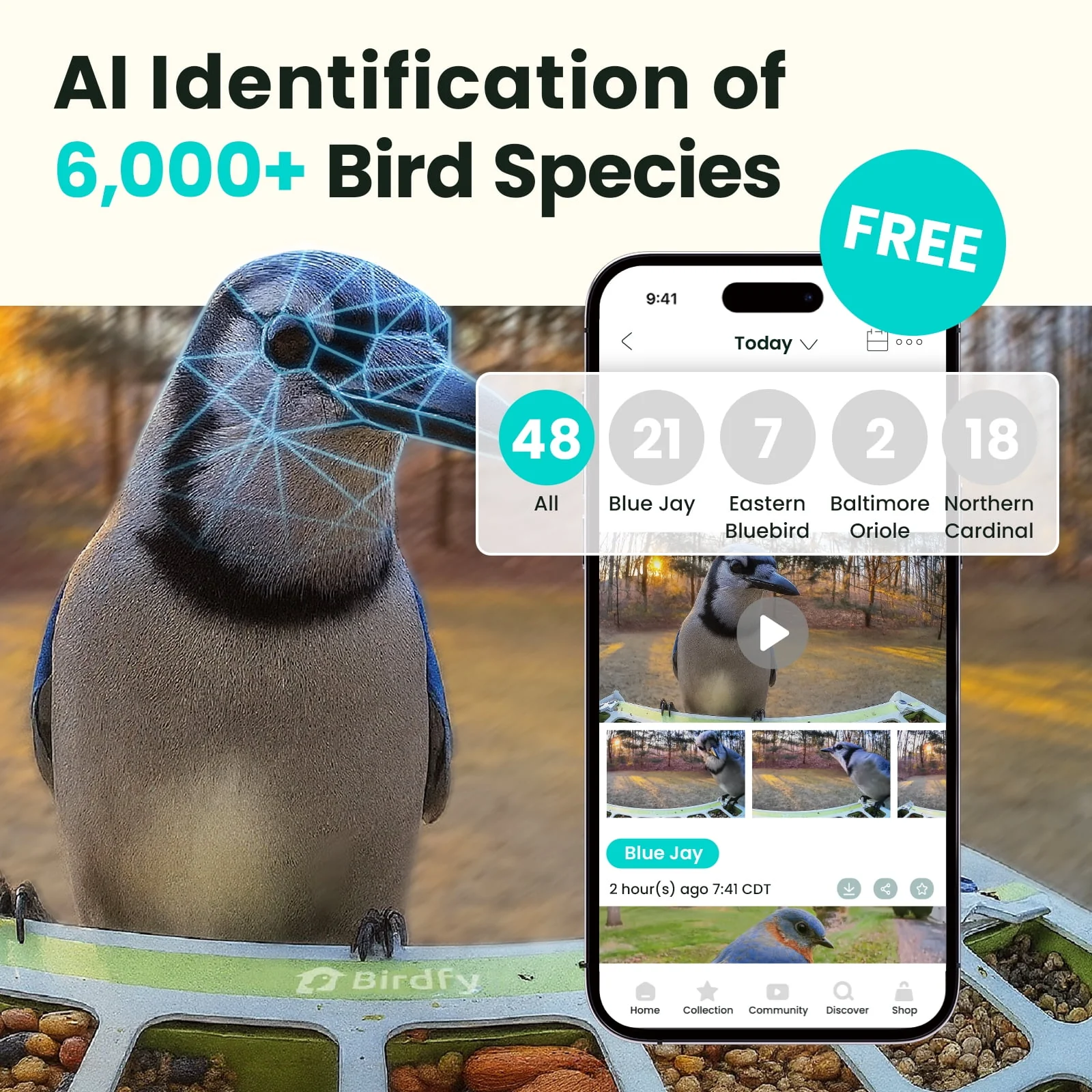 Birdfy Smart Bird Feeder with Camera, AI Identification for 6000+ Species, Automatic Bird Visit Recording & Notifications, Free App, Durable Metal Construction, Perfect Gift for Bird Lovers - Image 2
