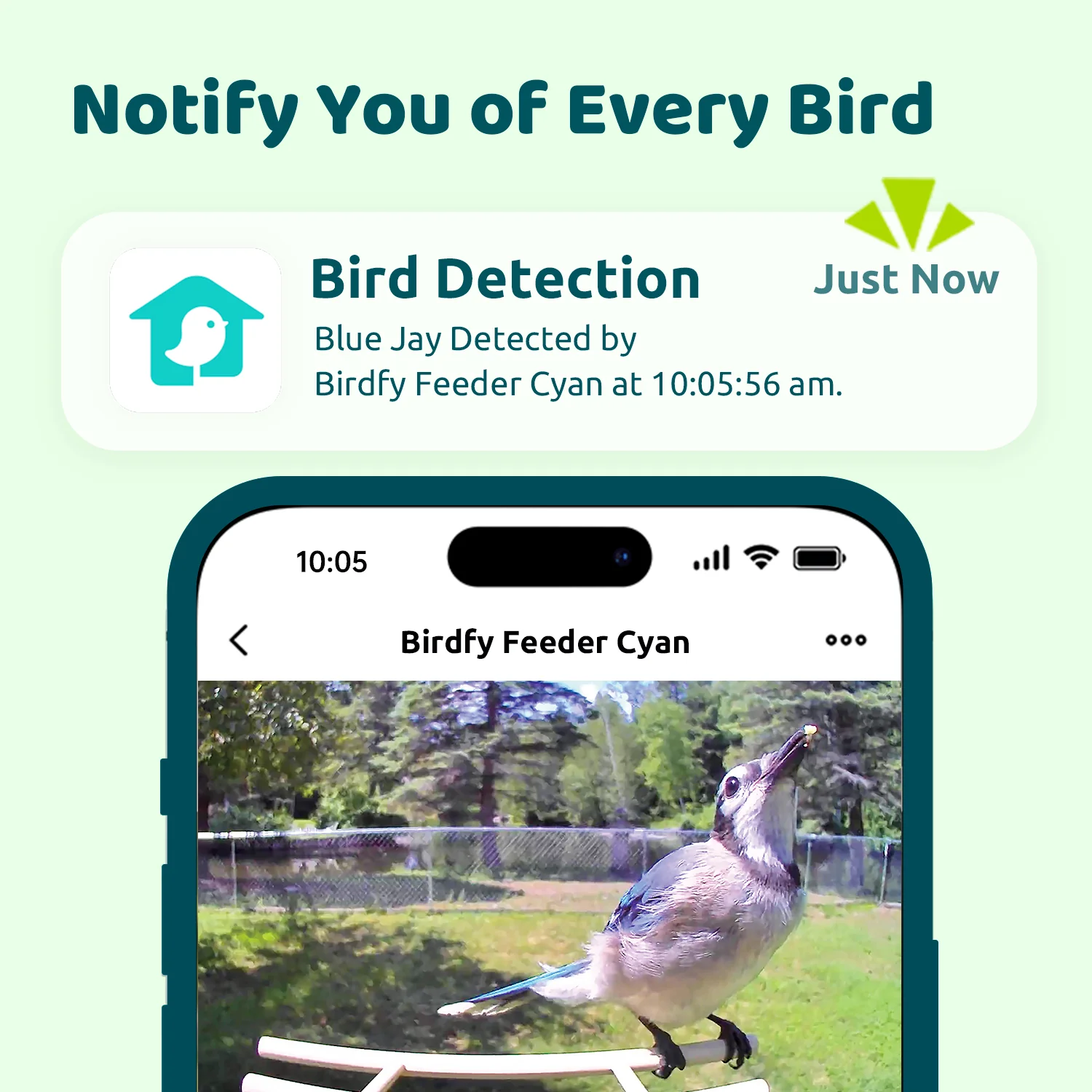 Birdfy Smart Bird Feeder with Camera, AI Identify 6000+ Species, Solar Powered,Eco-friendly Wooden, Ideal Gift, Cyan - Image 3