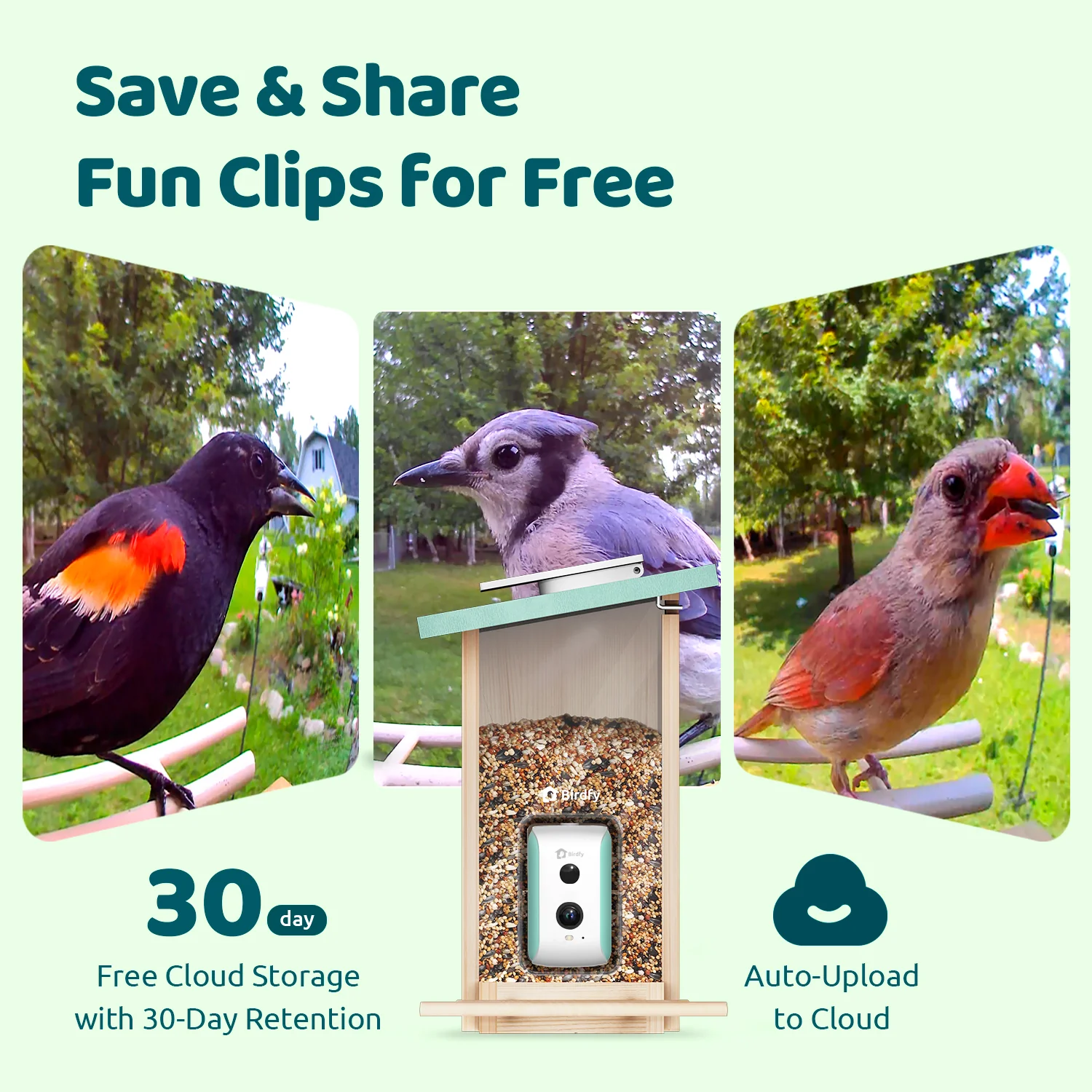Birdfy Smart Bird Feeder with Camera, AI Identify 6000+ Species, Solar Powered,Eco-friendly Wooden, Ideal Gift, Cyan - Image 4