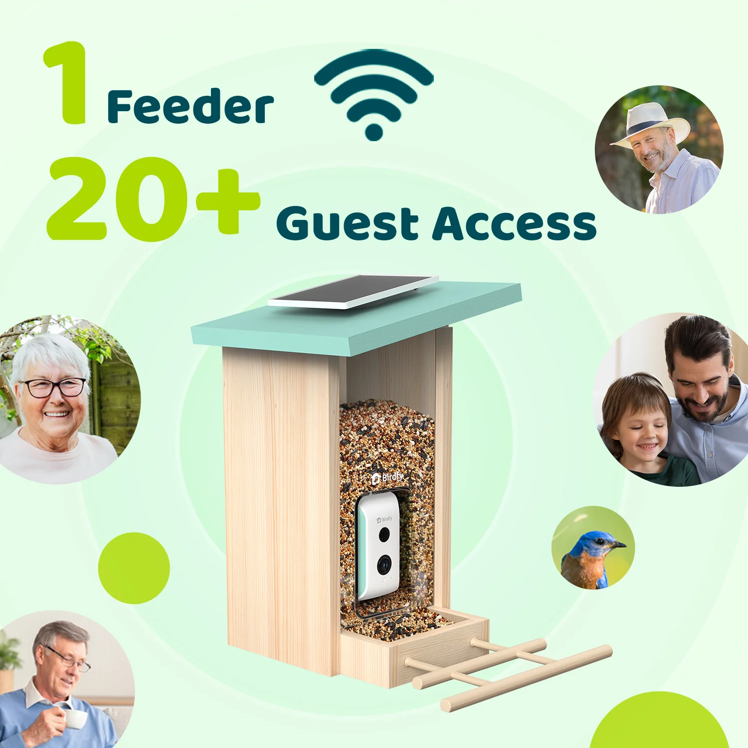 Birdfy Smart Bird Feeder with Camera, AI Identify 6000+ Species, Solar Powered,Eco-friendly Wooden, Ideal Gift, Cyan - Image 6
