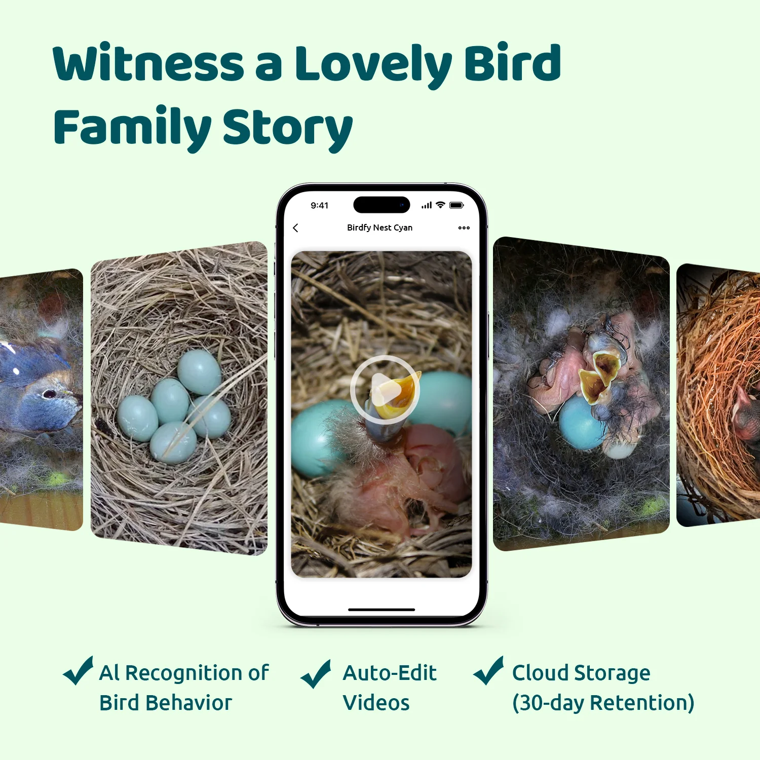 Birdfy Smart Bird Houses With 1080P HD Bird Feeder Camera, Perfect Viewing Bird Nesting and Hatching, Solar Powered, Cyan - Image 6
