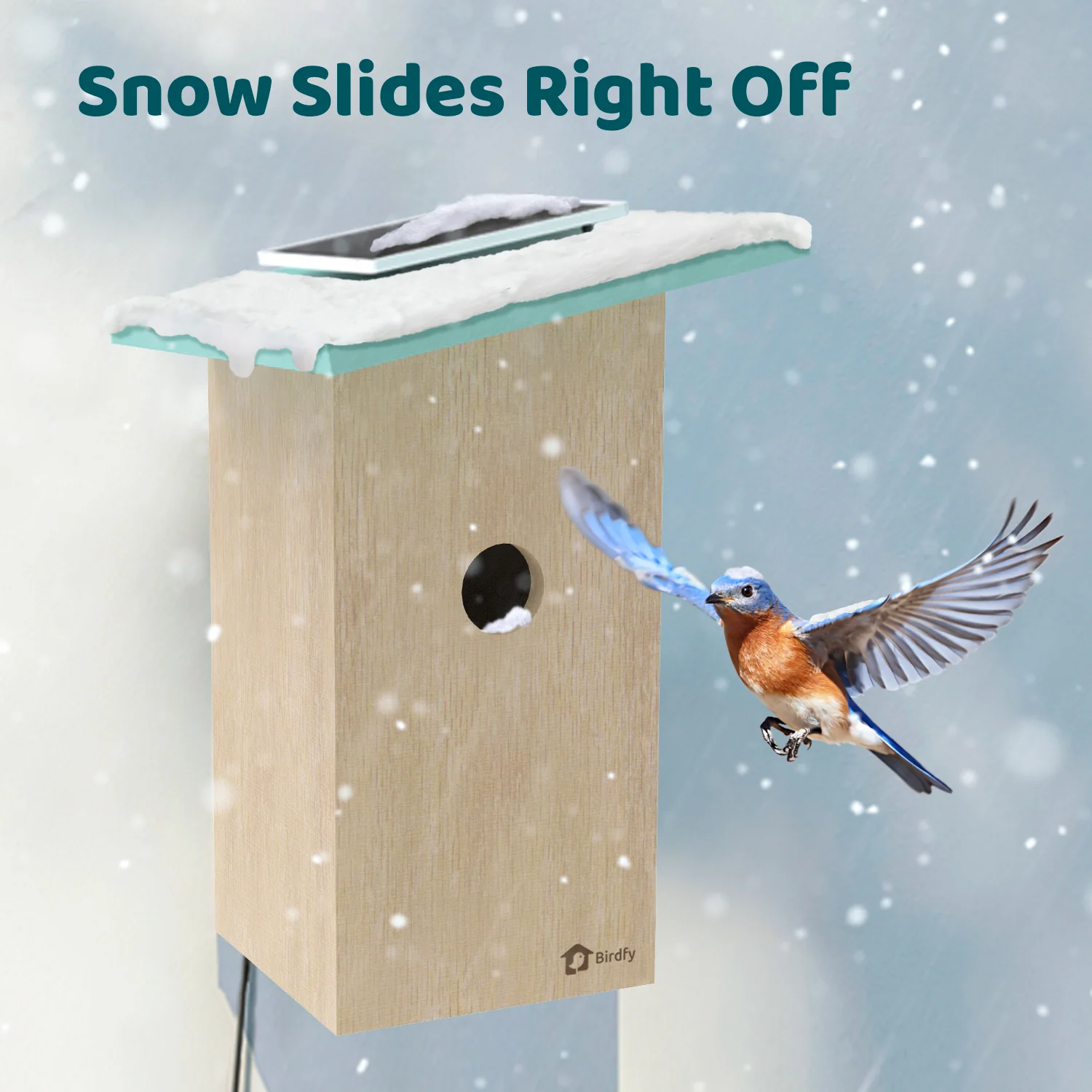 Birdfy Smart Bird Houses With 1080P HD Bird Feeder Camera, Perfect Viewing Bird Nesting and Hatching, Solar Powered, Cyan - Image 7