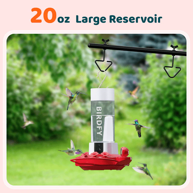 Netvue Birdfy Hummingbird Feeder with Dual Camera Free AI and Solar Panel - Image 5
