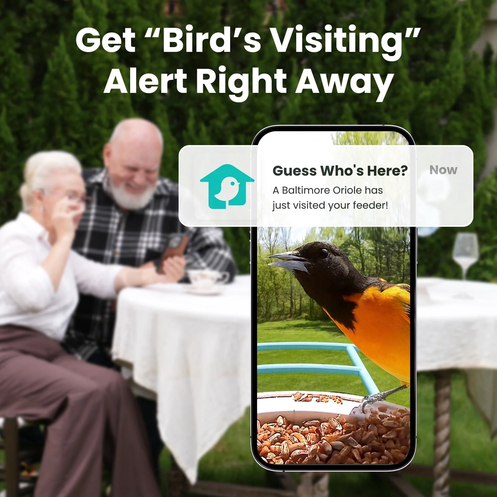 Netvue Birdfy Smart Bird Feeder with Free AI for Bird Watching - Image 4