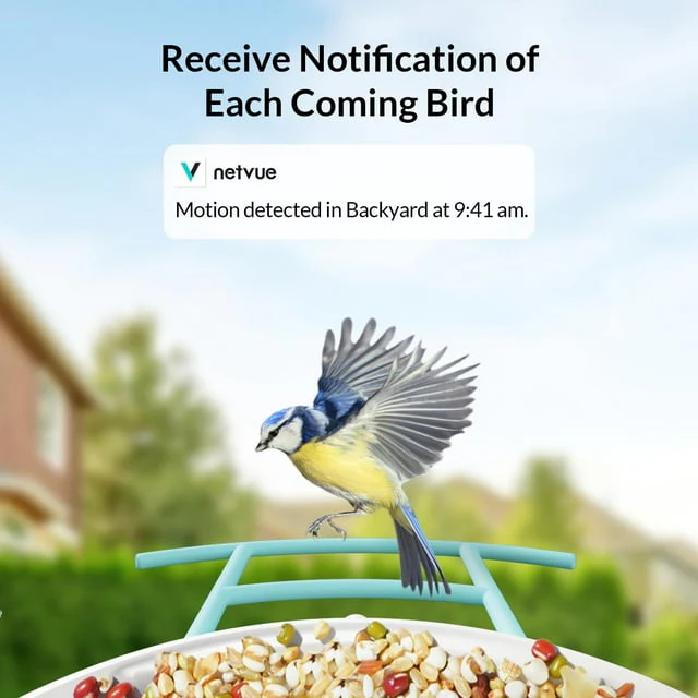 Smart Bird Feeder with Camera (Christmas Box) - Image 3