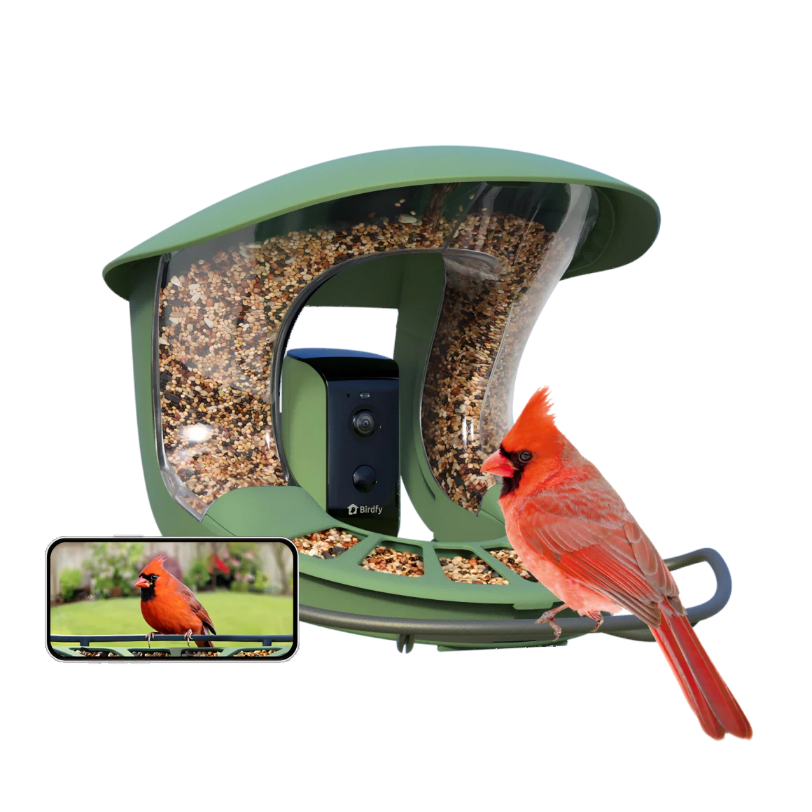 Smart Bird Feeder with Camera, Netvue Birdfy Bird Feeders Camera with AI Identify,Gift for Bird Lover,Birdfy 2