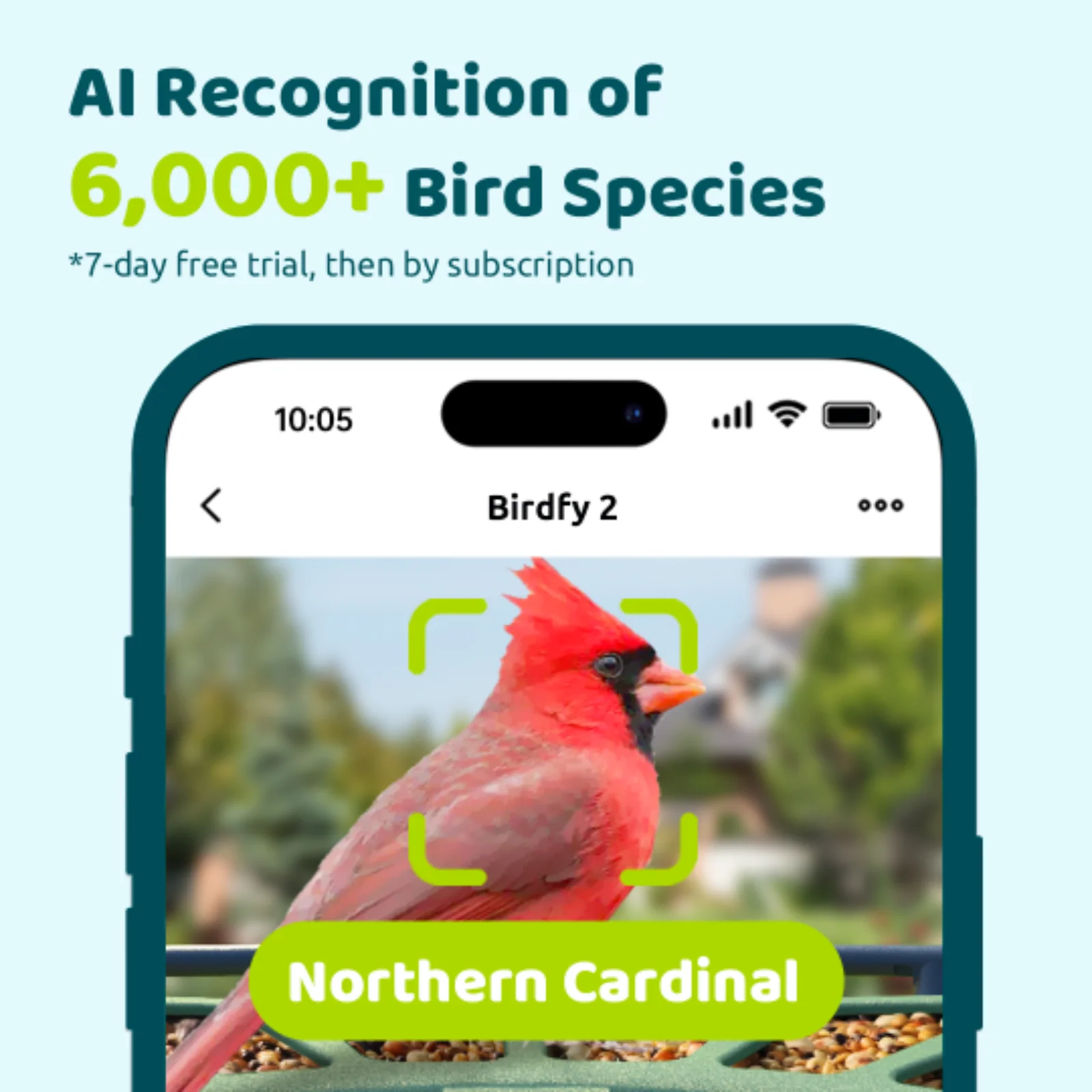 Smart Bird Feeder with Camera, Netvue Birdfy Bird Feeders Camera with AI Identify,Gift for Bird Lover,Birdfy 2 - Image 2